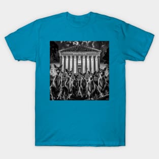 Supreme Court - SCOTUS IS A Kangaroo Court - Robin Fader - Front T-Shirt